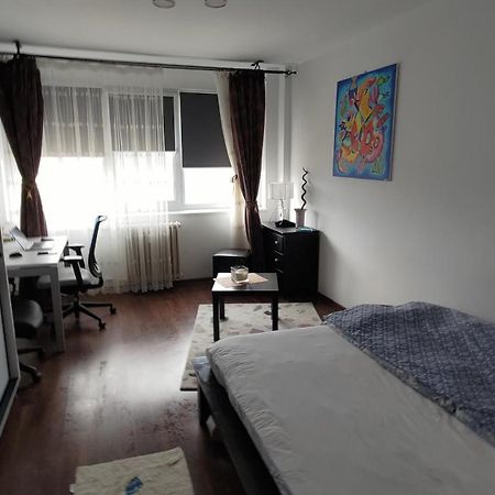 Studio Leo Яссы Экстерьер фото